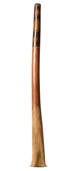 Jesse Lethbridge Didgeridoo (JL150)